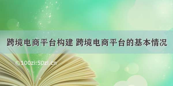 跨境电商平台构建 跨境电商平台的基本情况