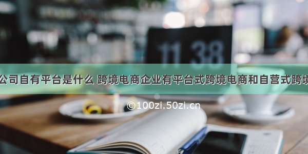 跨境电商公司自有平台是什么 跨境电商企业有平台式跨境电商和自营式跨境电商对吗