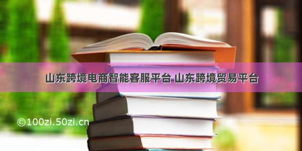 山东跨境电商智能客服平台 山东跨境贸易平台