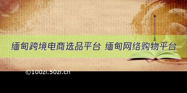 缅甸跨境电商选品平台 缅甸网络购物平台