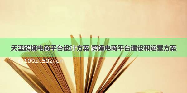 天津跨境电商平台设计方案 跨境电商平台建设和运营方案