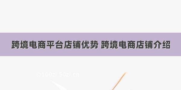 跨境电商平台店铺优势 跨境电商店铺介绍