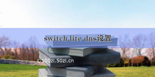 switch lite dns设置