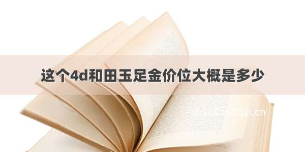 这个4d和田玉足金价位大概是多少