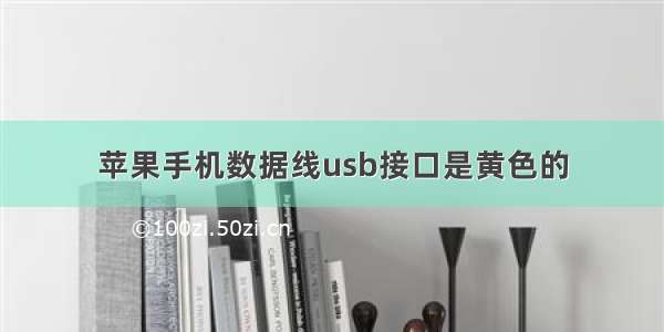 苹果手机数据线usb接口是黄色的