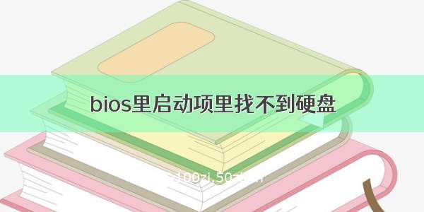 bios里启动项里找不到硬盘