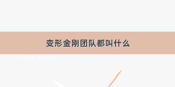 变形金刚团队都叫什么