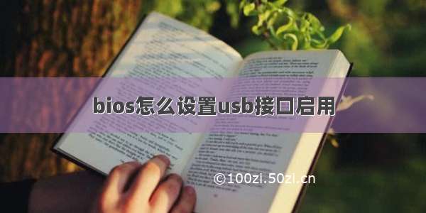 bios怎么设置usb接口启用