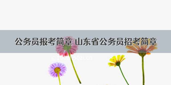 公务员报考简章 山东省公务员招考简章