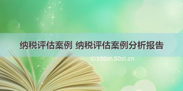 纳税评估案例 纳税评估案例分析报告