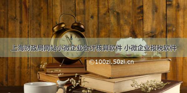 上海财政局网站小微企业会计核算软件 小微企业报税软件