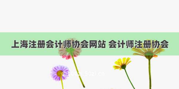 上海注册会计师协会网站 会计师注册协会