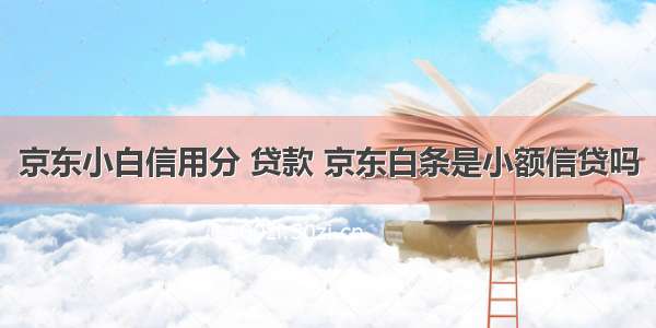 京东小白信用分 贷款 京东白条是小额信贷吗