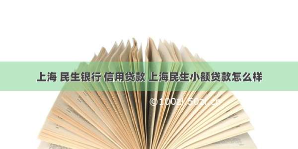 上海 民生银行 信用贷款 上海民生小额贷款怎么样