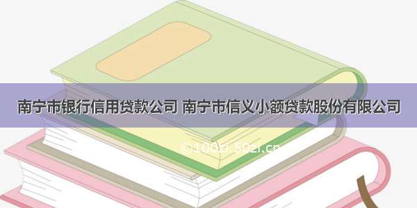 南宁市银行信用贷款公司 南宁市信义小额贷款股份有限公司