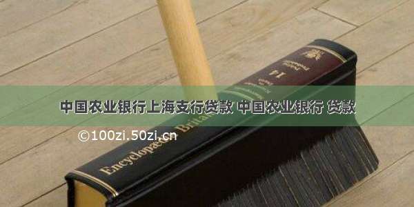 中国农业银行上海支行贷款 中国农业银行 贷款