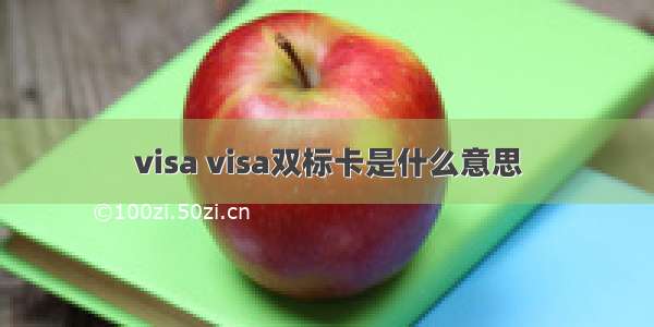 visa visa双标卡是什么意思