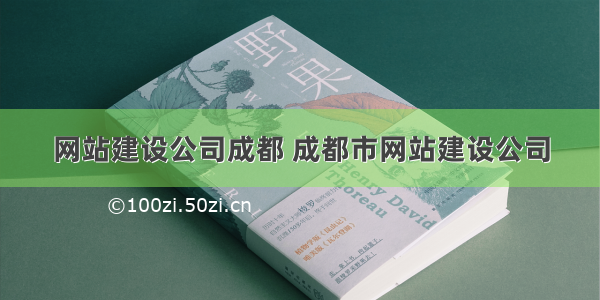 网站建设公司成都 成都市网站建设公司