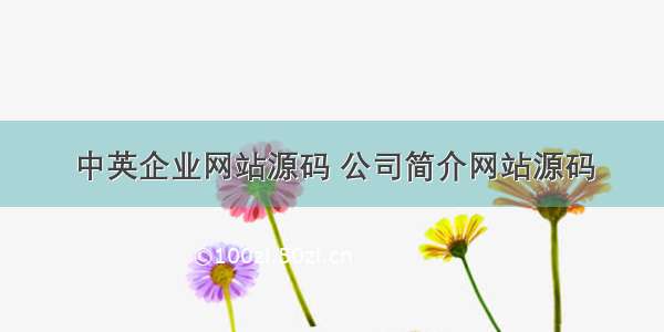 中英企业网站源码 公司简介网站源码