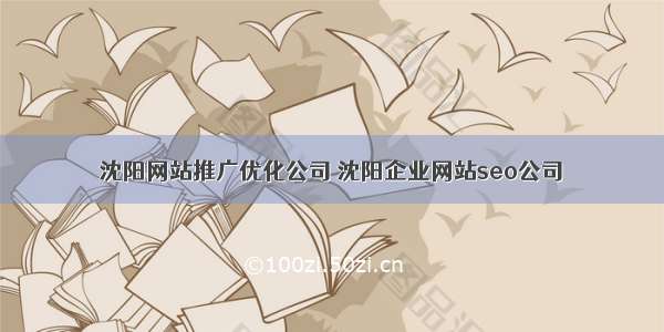 沈阳网站推广优化公司 沈阳企业网站seo公司