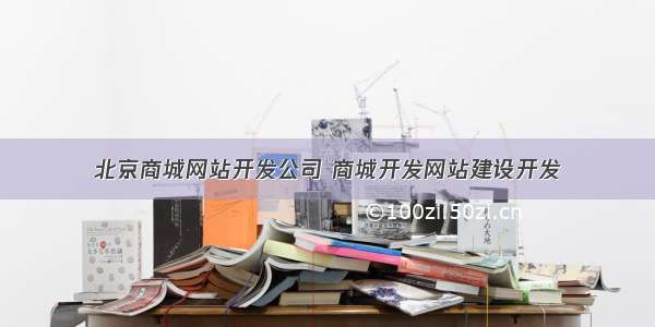 北京商城网站开发公司 商城开发网站建设开发