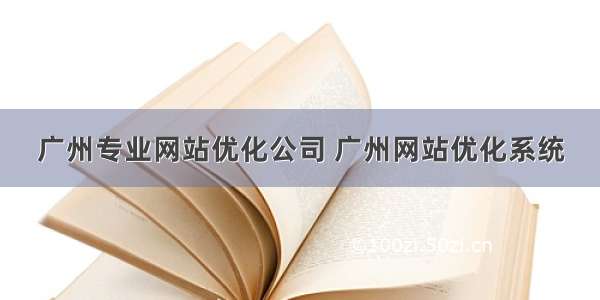 广州专业网站优化公司 广州网站优化系统