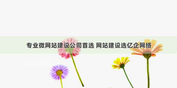 专业微网站建设公司首选 网站建设选亿企网络