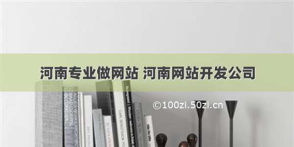 河南专业做网站 河南网站开发公司