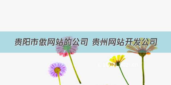 贵阳市做网站的公司 贵州网站开发公司