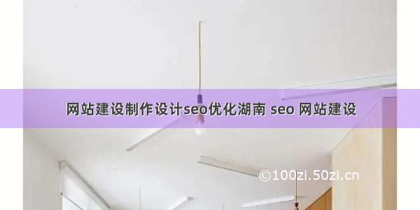 网站建设制作设计seo优化湖南 seo 网站建设