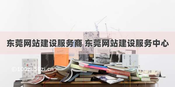 东莞网站建设服务商 东莞网站建设服务中心