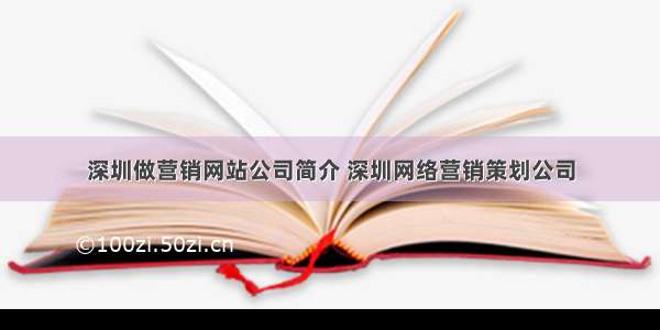 深圳做营销网站公司简介 深圳网络营销策划公司