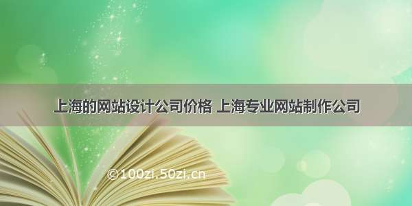 上海的网站设计公司价格 上海专业网站制作公司