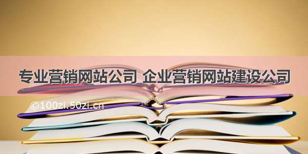 专业营销网站公司 企业营销网站建设公司