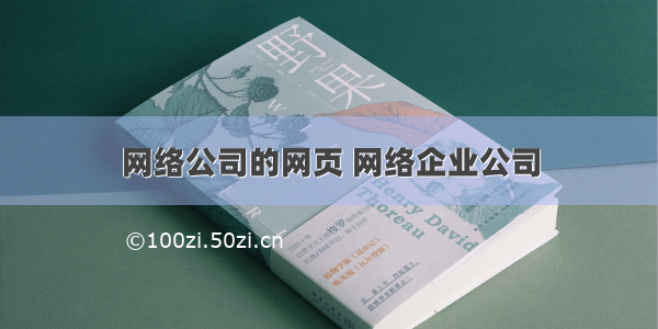 网络公司的网页 网络企业公司