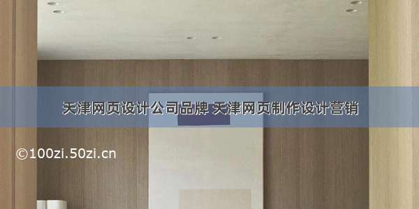 天津网页设计公司品牌 天津网页制作设计营销