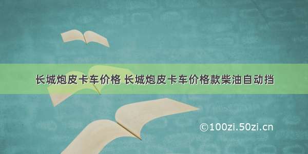 长城炮皮卡车价格 长城炮皮卡车价格款柴油自动挡