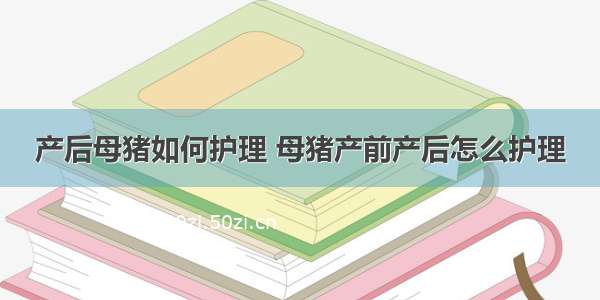 产后母猪如何护理 母猪产前产后怎么护理