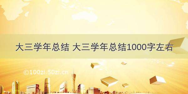 大三学年总结 大三学年总结1000字左右