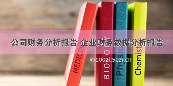 公司财务分析报告 企业财务数据分析报告