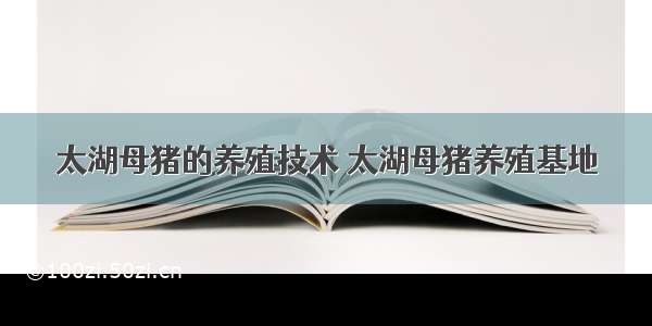 太湖母猪的养殖技术 太湖母猪养殖基地