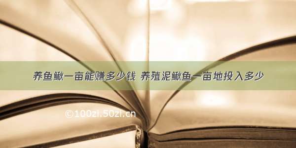 养鱼鳅一亩能赚多少钱 养殖泥鳅鱼一亩地投入多少