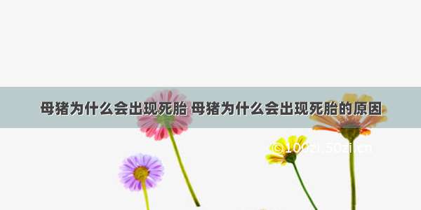 母猪为什么会出现死胎 母猪为什么会出现死胎的原因