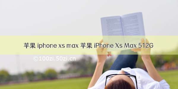 苹果 iphone xs max 苹果 iPhone Xs Max 512G