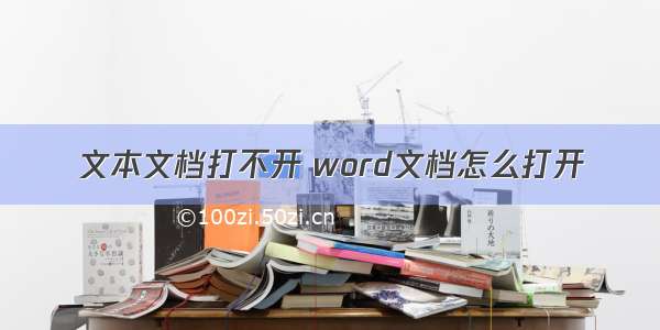 文本文档打不开 word文档怎么打开