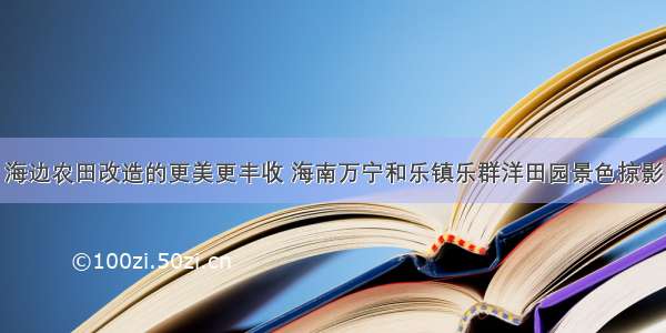 海边农田改造的更美更丰收 海南万宁和乐镇乐群洋田园景色掠影