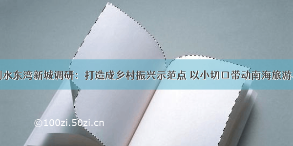 庄悦群到水东湾新城调研：打造成乡村振兴示范点 以小切口带动南海旅游岛大变化