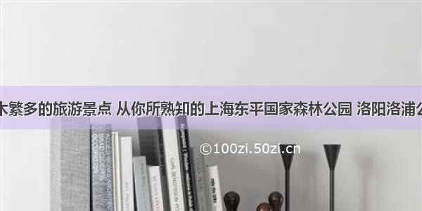 盘点树木繁多的旅游景点 从你所熟知的上海东平国家森林公园 洛阳洛浦公园谈起