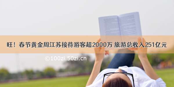 旺！春节黄金周江苏接待游客超2000万 旅游总收入251亿元