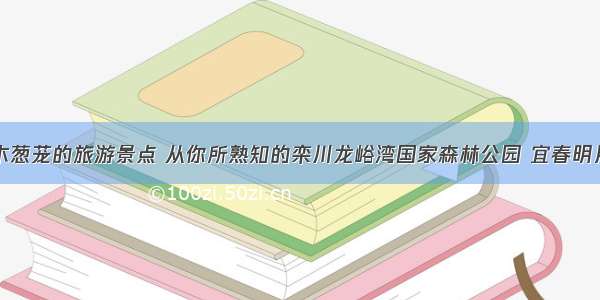 盘点树木葱茏的旅游景点 从你所熟知的栾川龙峪湾国家森林公园 宜春明月山谈起